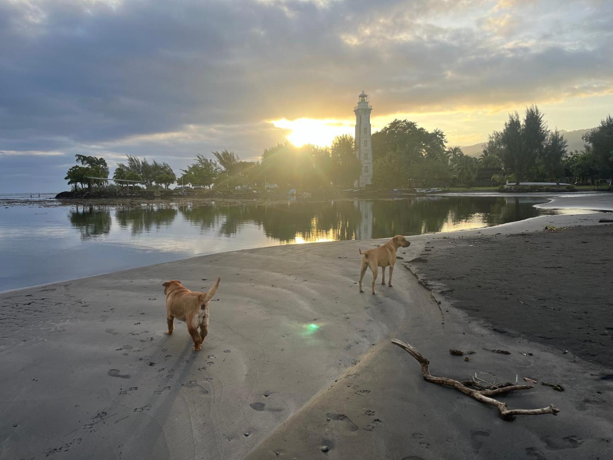 Pointe Venus Lodge Mahina ภายนอก รูปภาพ